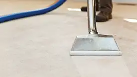 Carpet cleaning wand head gliding over a light carpet during hot-water extraction, Miami, FL.