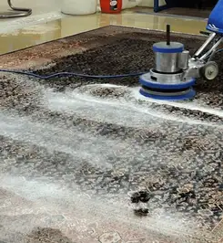 Professional rug cleaning with a rotary floor machine and shampoo foam, deep-cleaning an area rug Miami, FL.